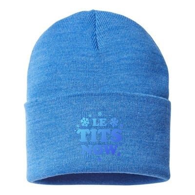 Le Tits Now Let It Snow Funny Christmas Winter Xmas Wordplay Gift Sustainable Knit Beanie