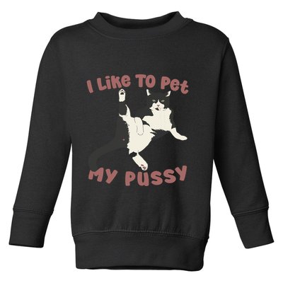 Like To Pet My Pussy Naughty Adult Cat Humor Saying Toddler Sweatshirt