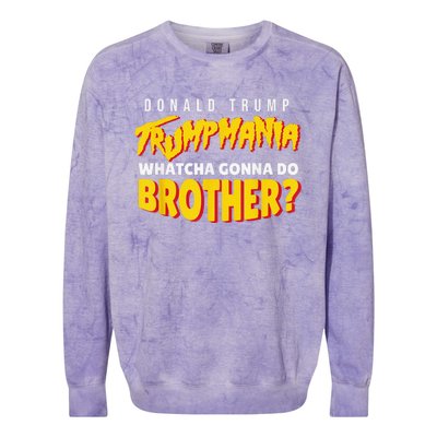 Let Trumpamania Run Wild Trumpmania Trump Mania Whatcha Gonna Do Brother Colorblast Crewneck Sweatshirt