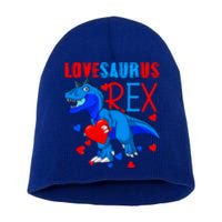 Lovesaurus T Rex Valentines Day Dinosaur Valentine Funny Gift Short Acrylic Beanie