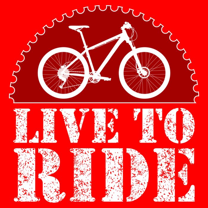 Live To Ride Biking 16 in Basic Backpack