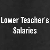 Lower Teacher Salaries Funny Teacher 7 Panel Mesh Trucker Snapback Hat