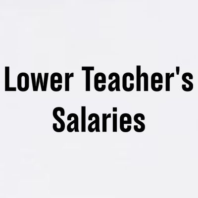 Lower Teacher Salaries Funny Teacher T-Shirt