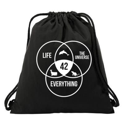 Life The Universe And Everything 42 Answer To Life Meaningful Gift Drawstring Bag