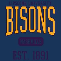 Lipscomb University Bison Est Date 7-Panel Snapback Hat
