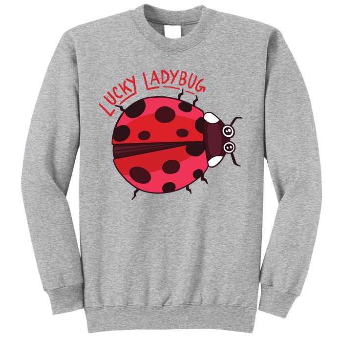 Lucky Ladybug Sweatshirt