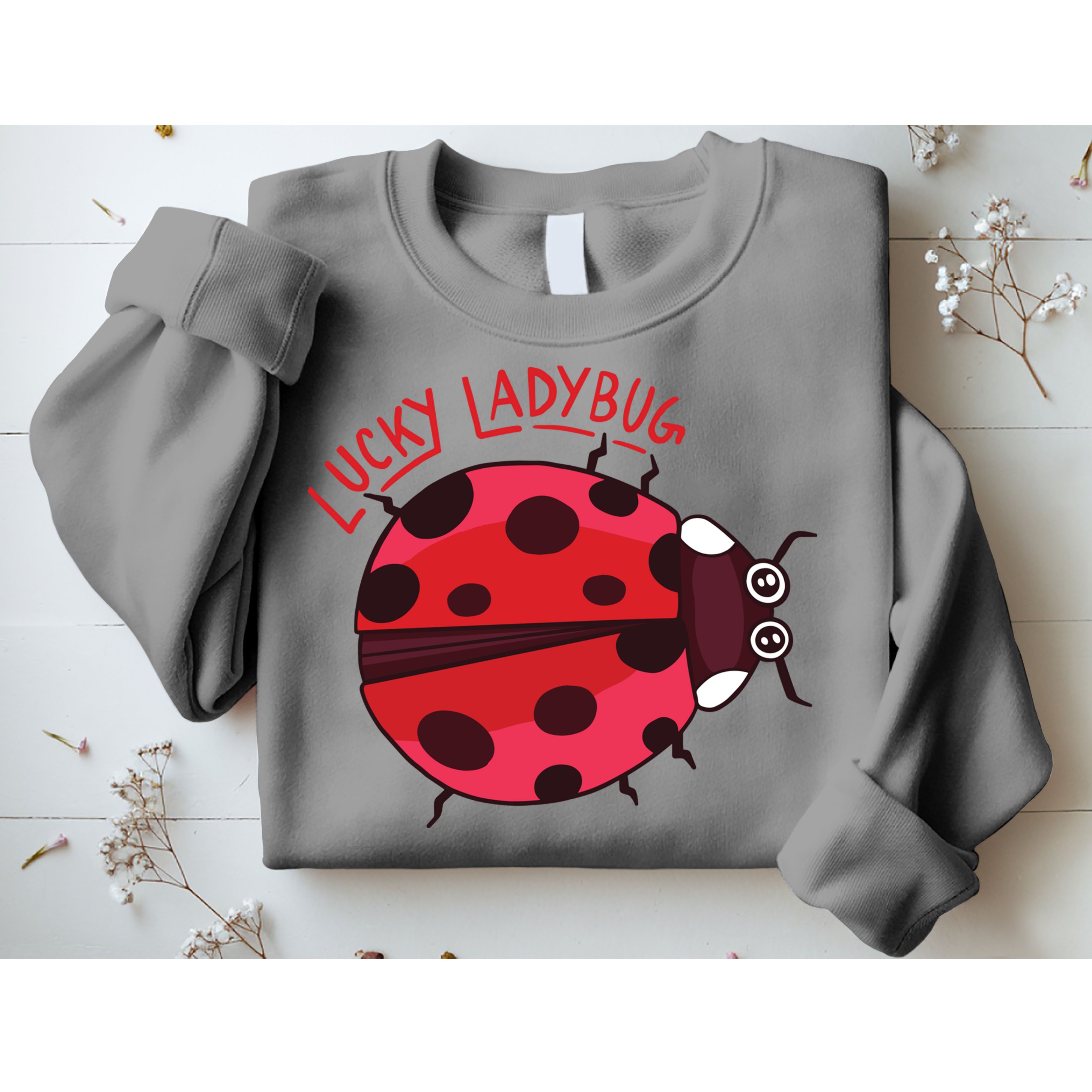 Lucky Ladybug Sweatshirt