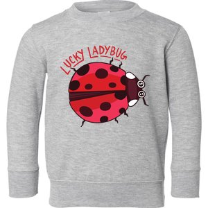 Lucky Ladybug Toddler Sweatshirt