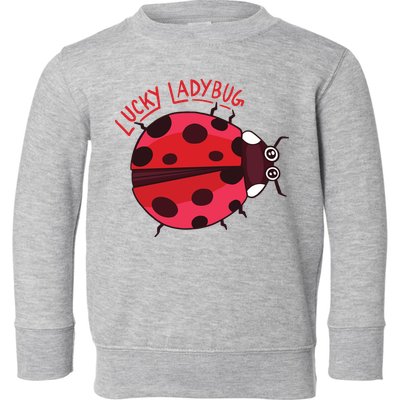 Lucky Ladybug Toddler Sweatshirt