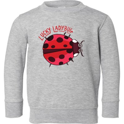 Lucky Ladybug Toddler Sweatshirt