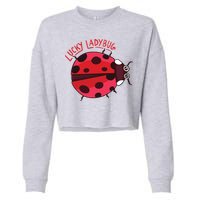 Lucky Ladybug Cropped Pullover Crew