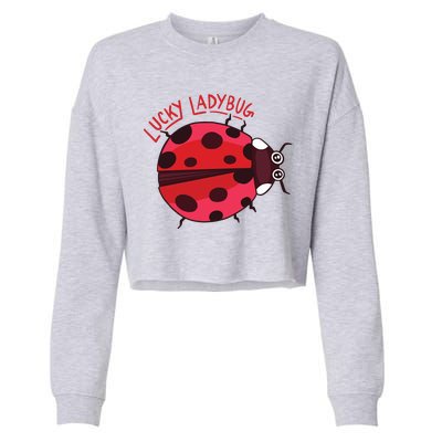 Lucky Ladybug Cropped Pullover Crew