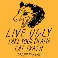 Live Ugly Fake Your Death Eat Trash Get Hit By A Car Opossum Pom Pom 12in Knit Beanie