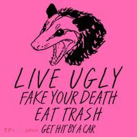 Live Ugly Fake Your Death Eat Trash Get Hit By A Car Opossum Stripe Pom Pom Beanie