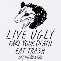 Live Ugly Fake Your Death Eat Trash Get Hit By A Car Opossum Sueded Cloud Jersey T-Shirt
