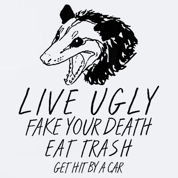Live Ugly Fake Your Death Eat Trash Get Hit By A Car Opossum Sueded Cloud Jersey T-Shirt