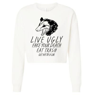 Live Ugly Fake Your Death Eat Trash Get Hit By A Car Opossum Cropped Pullover Crew