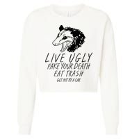 Live Ugly Fake Your Death Eat Trash Get Hit By A Car Opossum Cropped Pullover Crew