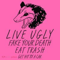 Live Ugly Fake Your Death Eat Trash Get Hit By A Car Opossum Stripe Pom Pom Beanie