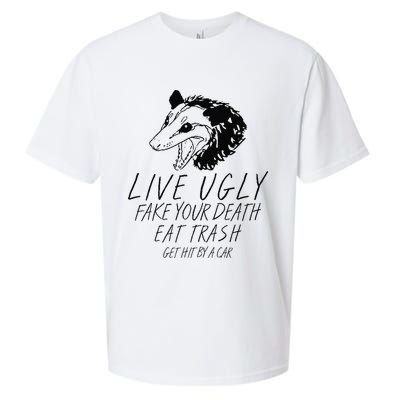 Live Ugly Fake Your Death Eat Trash Get Hit By A Car Opossum Sueded Cloud Jersey T-Shirt