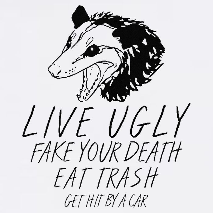 Live Ugly Fake Your Death Eat Trash Get Hit By A Car Opossum Flat Bill Trucker Hat