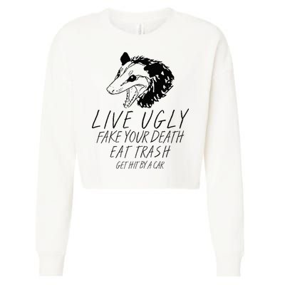 Live Ugly Fake Your Death Eat Trash Get Hit By A Car Opossum Cropped Pullover Crew