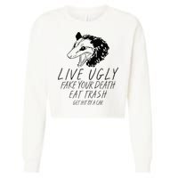 Live Ugly Fake Your Death Eat Trash Get Hit By A Car Opossum Cropped Pullover Crew