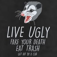 Live Ugly Fake Your Death Eat Trash Opossum Garment-Dyed Heavyweight T-Shirt