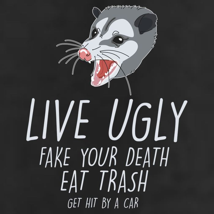 Live Ugly Fake Your Death Eat Trash Opossum Garment-Dyed Heavyweight T-Shirt