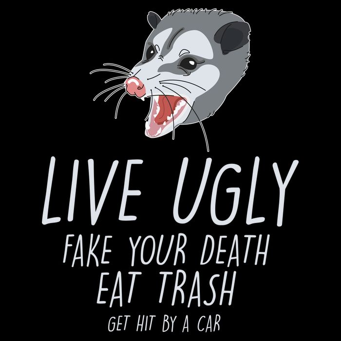 Live Ugly Fake Your Death Eat Trash Opossum Backpack