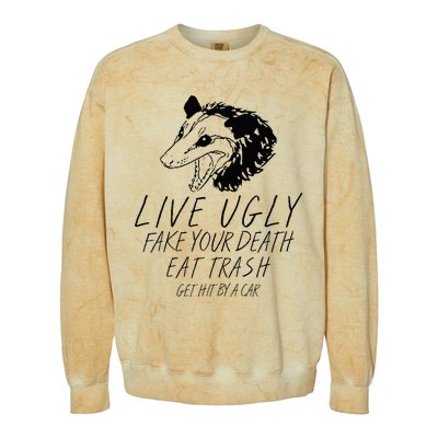 Live Ugly Fake Your Death Eat Trash Get Hit By A Car Opossum Colorblast Crewneck Sweatshirt