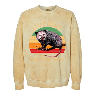 Live Ugly Fake Your Death Vintage Ugly Possum Colorblast Crewneck Sweatshirt