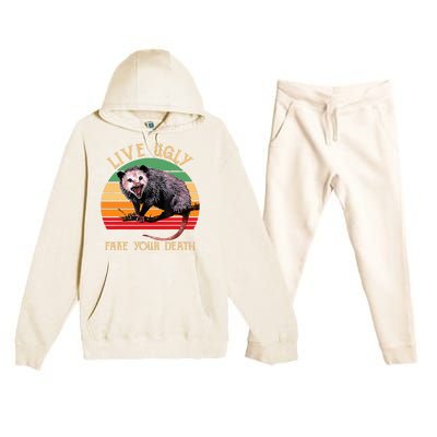 Live Ugly Fake Your Death Vintage Ugly Possum Premium Hooded Sweatsuit Set