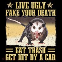 Live Ugly Fake Your Death Eat Trash Get Hit By A Car Opossum Pom Pom 12in Knit Beanie