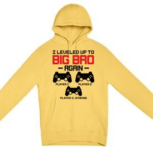 Leveled Up To Big Bro Again New Big Brother Gift Announcement Premium Pullover Hoodie