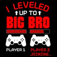Leveled Up To Big Bro New Big Brother Gamer Gift Announcement Flatbill Hat