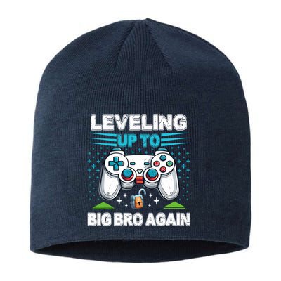 Leveling Up To Big Bro Again 2024 Sustainable Beanie
