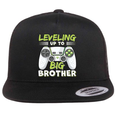 Leveling Up To Big Brother Flatbill Hat