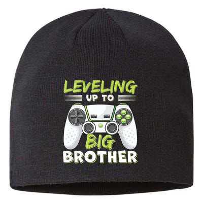 Leveling Up To Big Brother Sustainable Beanie