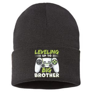 Leveling Up To Big Brother Sustainable Knit Beanie