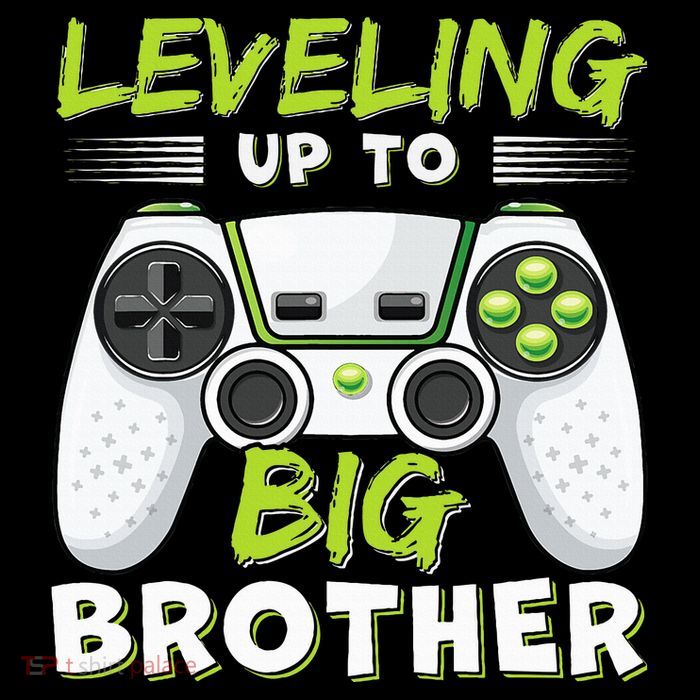 Leveling Up to Big Brother Poster