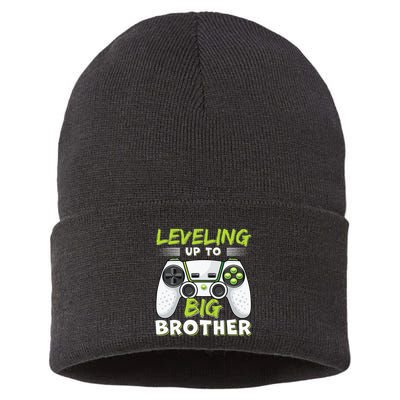 Leveling Up to Big Brother Sustainable Knit Beanie