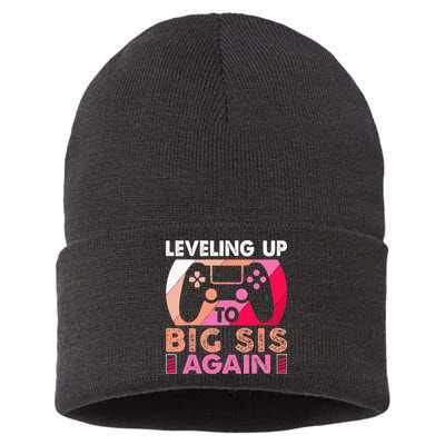 Leveling Up To Big Sis Again Promoted To Big Sister Again Sustainable Knit Beanie