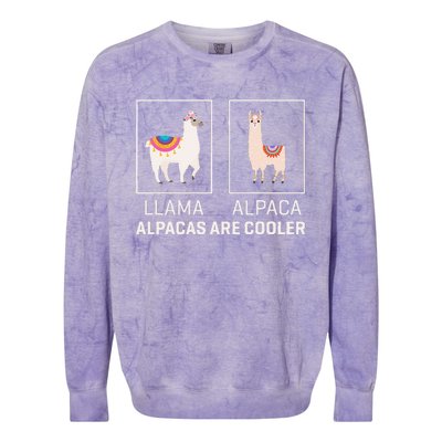 Llama Vs Alpaca Alpacas Are Cooler Funny Alpaca Lover Colorblast Crewneck Sweatshirt