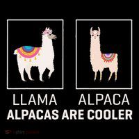 Llama Vs Alpaca Alpacas Are Cooler Funny Alpaca Lover Sustainable Bucket Hat