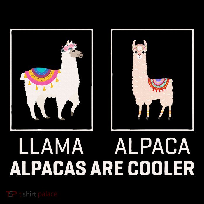 Llama Vs Alpaca Alpacas Are Cooler Funny Alpaca Lover Youth Performance Sprint T-Shirt