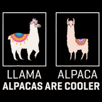 Llama Vs Alpaca, Alpacas Are Cooler - Funny Alpaca Lover Flexfit Unipanel Trucker Cap