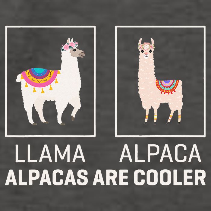 Llama Vs Alpaca, Alpacas Are Cooler - Funny Alpaca Lover Vector Backpack