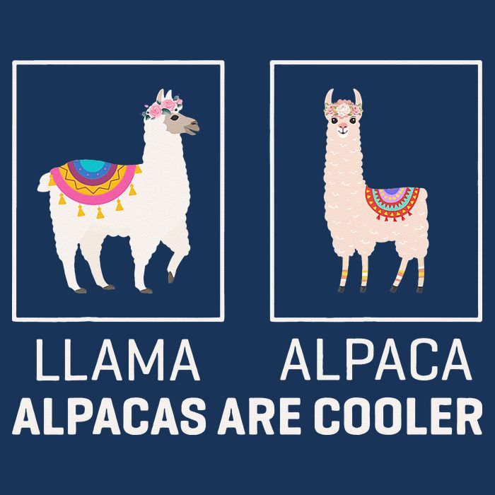 Llama Vs Alpaca, Alpacas Are Cooler - Funny Alpaca Lover 16 in Basic Backpack