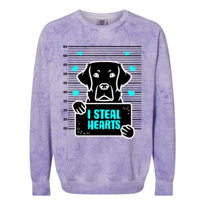 Labrador Valentine's Day Dog Lover Labrador Retriever Gift Colorblast Crewneck Sweatshirt